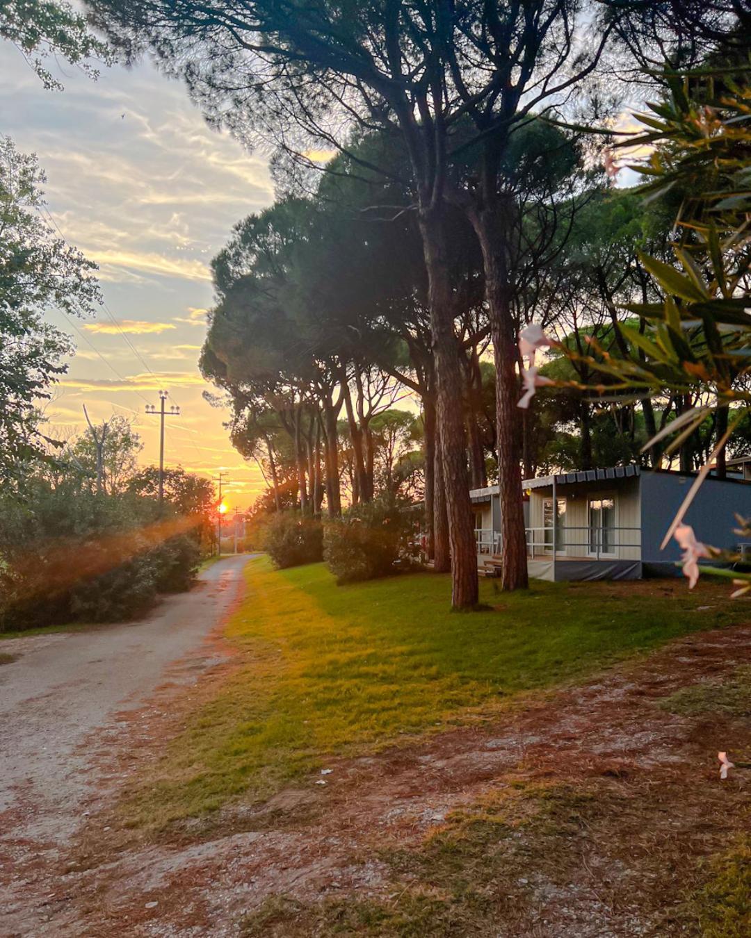 Belvedere Pineta Camping Village Grado Экстерьер фото